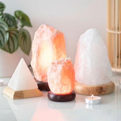 Natural Ionizer & Essential Oil Diffuser-Himalayan Salt Aroma Lamp