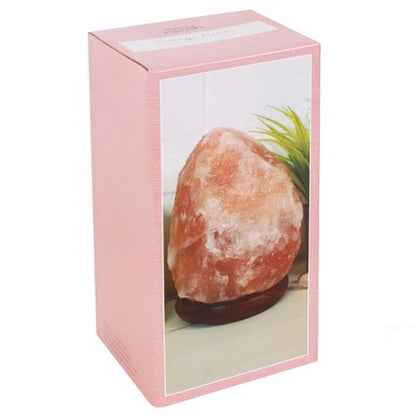 Natural Air Purifier & Wellness Essential Himalayan Salt Lamp