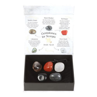 Scorpio Zodiac Crystal Set – Strength & Transformation