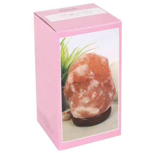 Natural Air Purifier & Mood Booster-Himalayan Salt Lamp